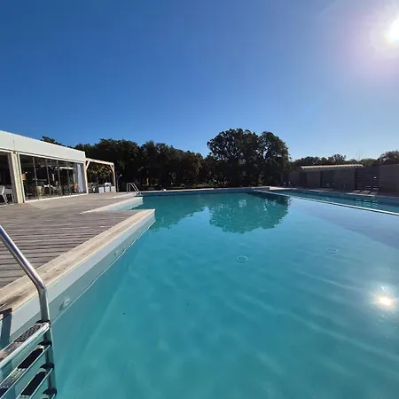 Appartement Climatise Avec Jardin Et Piscine Feriehus
